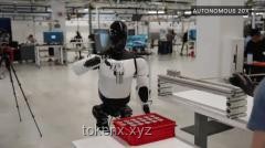 关于Robotaxi、机器人、中国供应链与人才，大摩调研特斯拉后的十点深度观察