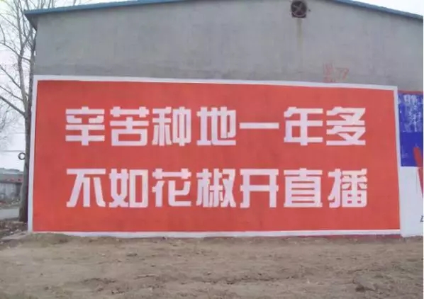 反游背后的生意揭秘：贩卖焦虑、收割流量、办集中营