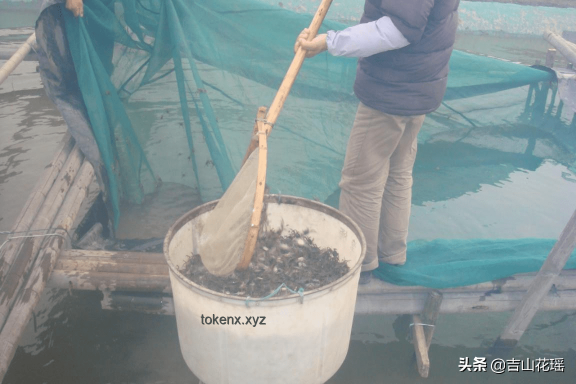 如何优雅应对“嘴臭骑士”：有效沟通与应对策略指南