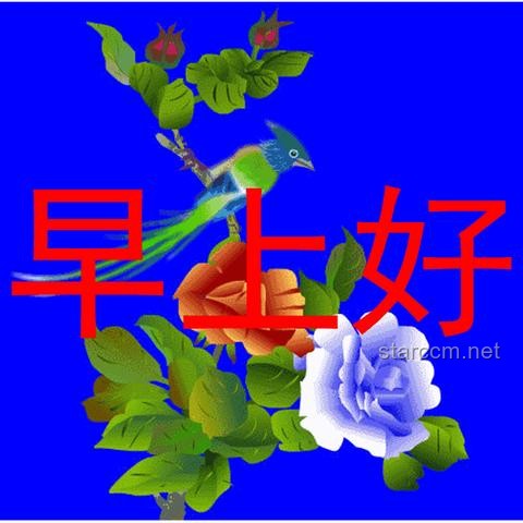 揭秘！人为什么要睡觉？那些夜深人静时的奇妙旅程