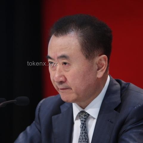 王健林4.9亿股权冻结：万达转型之路的挑战与未来趋势