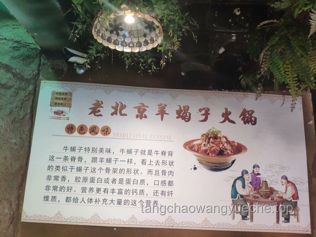 一个注重健康的人如何成为家庭的希望之光：张家的故事