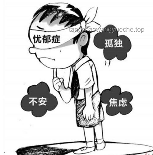 “站在一起”：抑郁症少年心理困境中的关键支持机制