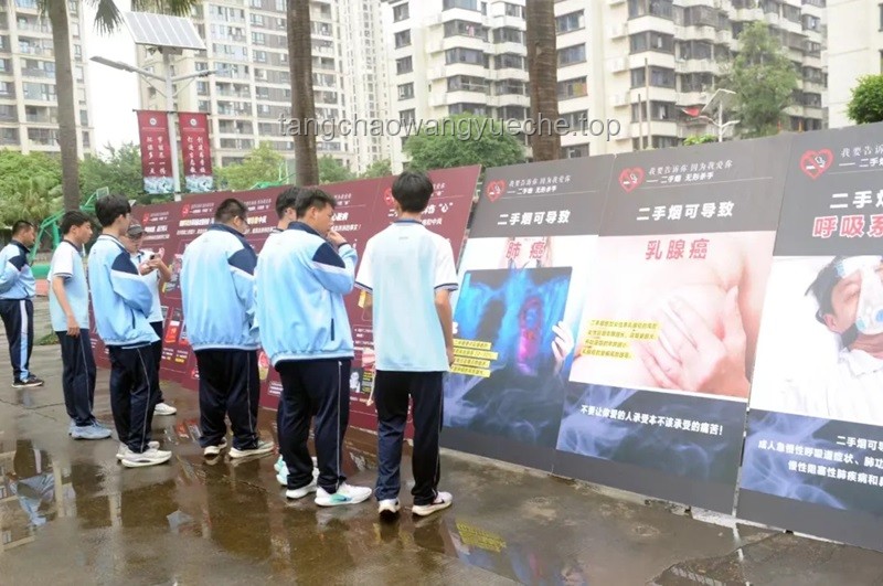 世界无烟日：全面控烟策略与解决方案