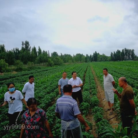 以色列面对“环保少女”争议：舆论风暴与行业影响深度剖析