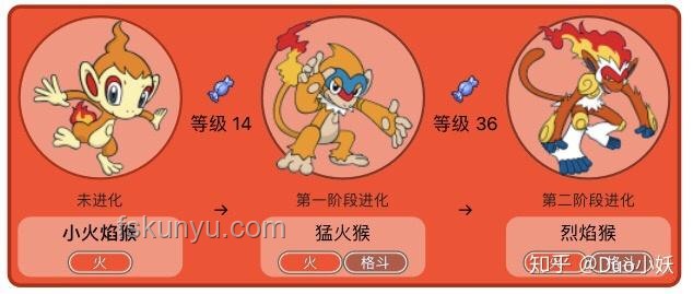 精灵宝可梦中的有趣冷知识全面解析