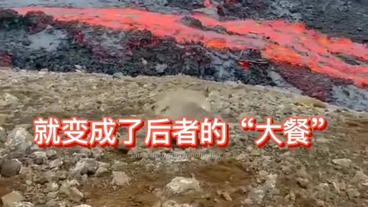 岩浆与钢水混合能否让石头和钢铁融合？