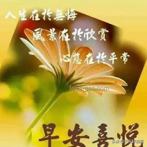 火车疾驰，铁轨安然：揭秘磨损之谜🛤️🚂