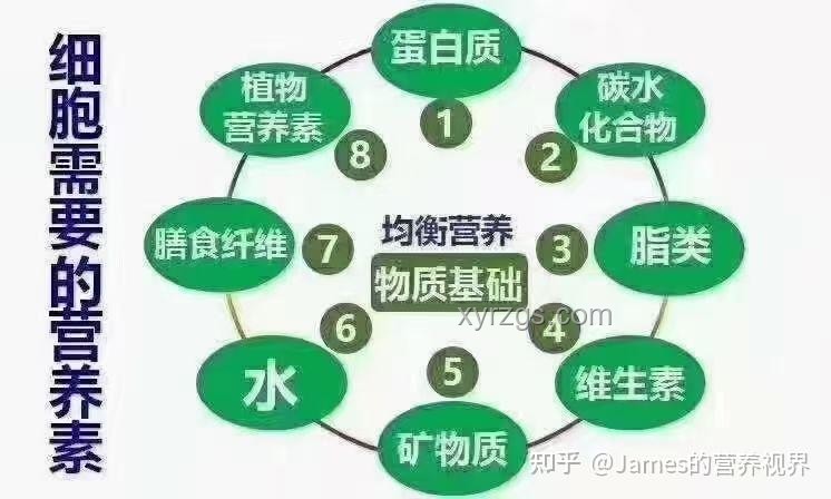 好好吃饭才能瘦：健康饮食瘦身行业的深度剖析