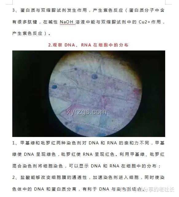 人类与螨虫：共存的生物对比分析