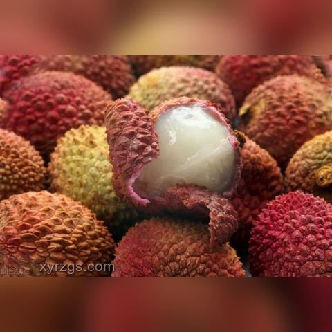 荔枝季节隐患：贪食致昏迷趋势预警
