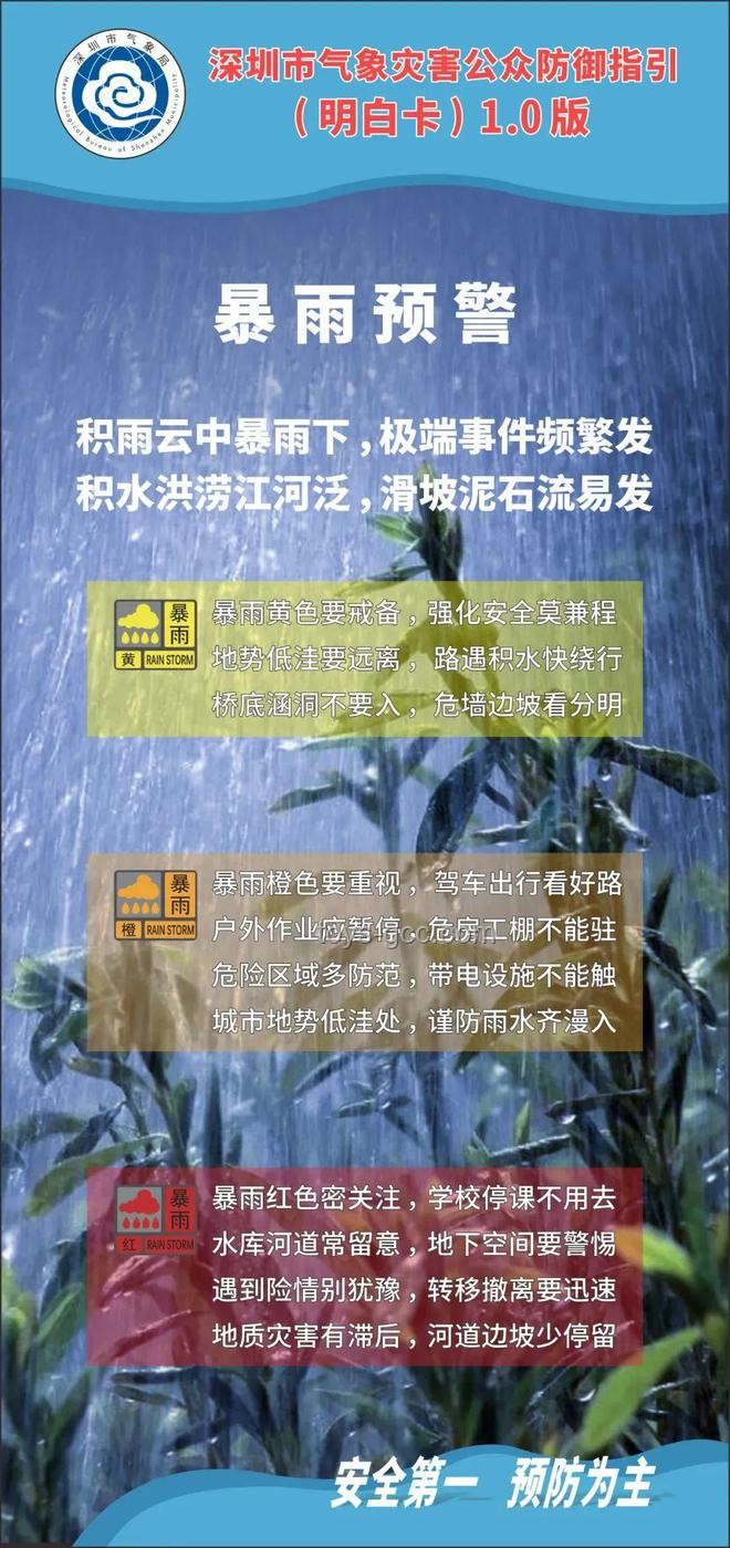 深圳钞票河：跨界启示与创意拾贝