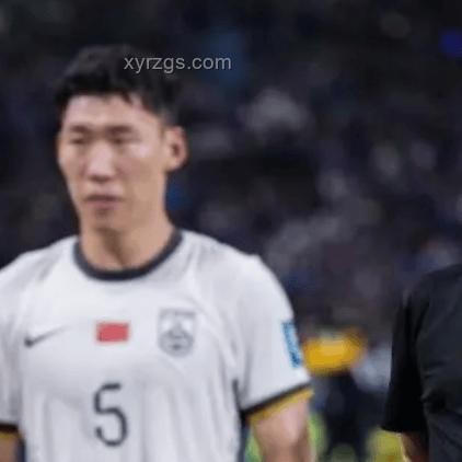国足换帅风云：我与伊万合作的终结与反思🏆,中国足球,合作终止,教练更迭,足球改革