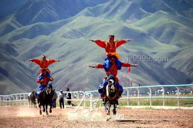 大银幕《新·驯龙高手》：视觉盛宴与情怀共鸣的双重体验