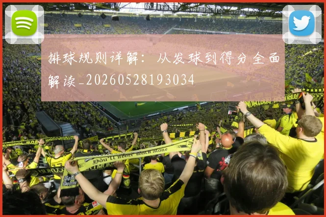 排球规则详解:从发球到得分全面解读_20260528193034