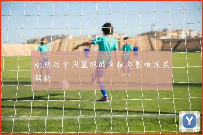 姚明对中国篮球的贡献与影响深度解析
