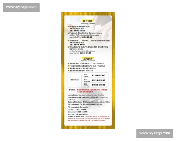 F1比赛规则详解：从旗语到进站